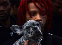 Derek Castillo (DanN_z)