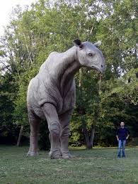 Indricotherium The Largest Land Quot Mammal Quot That Has Ever Lived Extinct Animals Prehistoric Animals Ancient Animals