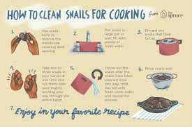 Make a court bouillon, a simple vegetable stock flavoured with herbs, carrot, celery, onion and whatever else you've got in the fridge, and bring it to a rolling boil. How To Clean And Prepare Fresh Snails For Cooking
