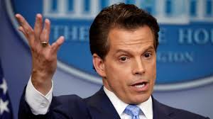 Scaramucci falsely listed as dead in Harvard Law School alumni directory