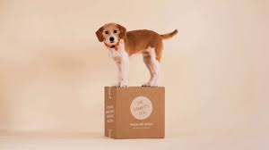 A smarter, healthier dog food: The Farmer S Dog Tv Commercial Built To Eat 50 Percent Off First Box Ispot Tv