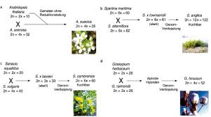 Tierwelt schien es zunächst gut zu gehen. Veranderungen Im Genom Mutationen Springerlink