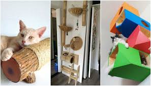 Mein balkon ist südwestseite, und an beiden seiten. 20 Fantastische Diy Ideen Fur Einen Katzenspielplatz Nettetipps De