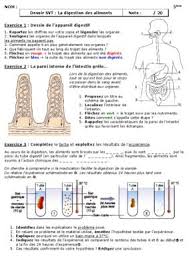 Dans les légendes de la. Devoir Digestion Pdf Notice Manuel D Utilisation Svt College Bac Svt Science Et Vie