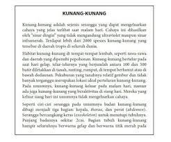 We did not find results for: Tentukan Kalimat Utama Pada Teks 1 Dan 2 Di Atas Brainly Co Id