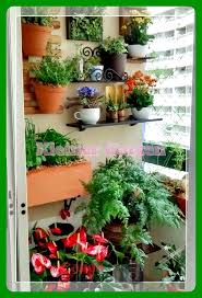 Pin Von Loylis Auf Kleiner Garten Wohnung Balkon Garten Kleiner Balkon Garten Pflanzen