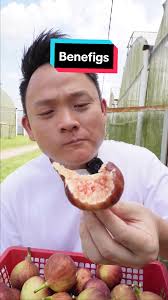 Trying Fig Fruit in Benefigs: A Tasty Review by Hungry Sam