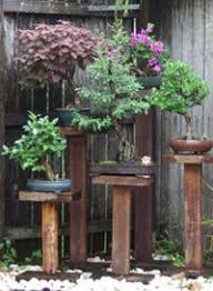 Pin On Bonsai Addiction