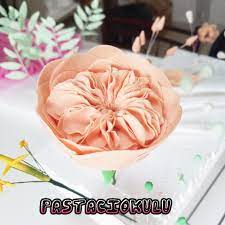 pastaci okulu adli kullanicinin pastaci okulu pastalari panosundaki pin pasta pastalar urunler