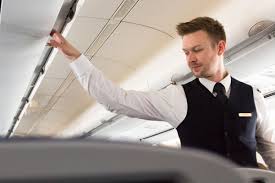 Flight Attendant How To Enter The Job