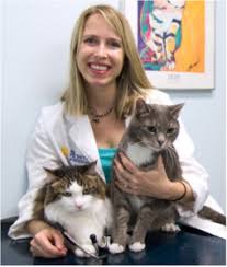 Metro paws animal hospital is a collaboration between three veterinary hospitals in the dallas metro area. Our Team The Pet Doctors Of Sherman Oaks