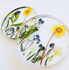 Westelm.com has been visited by 100k+ users in the past month Pressed Flower Art Drink Coasters Housewarming Gift Retirement Etsy Pressed Flower Art Pressed Flowers Pressed Flower Crafts