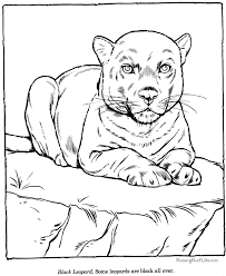 Maybe you would like to learn more about one of these? Leopard Coloring Page Zoo Animals Zoo Coloring Pages Animal Coloring Pages Animal Drawings