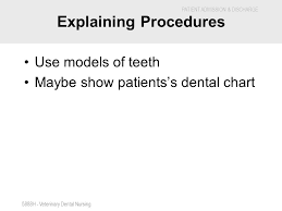 Veterinary Dental Nursing Procedures Ppt Video Online Download