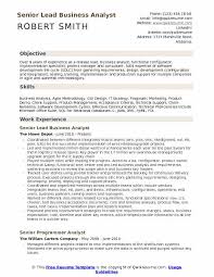 Lead Business Analyst Resume Samples Qwikresume