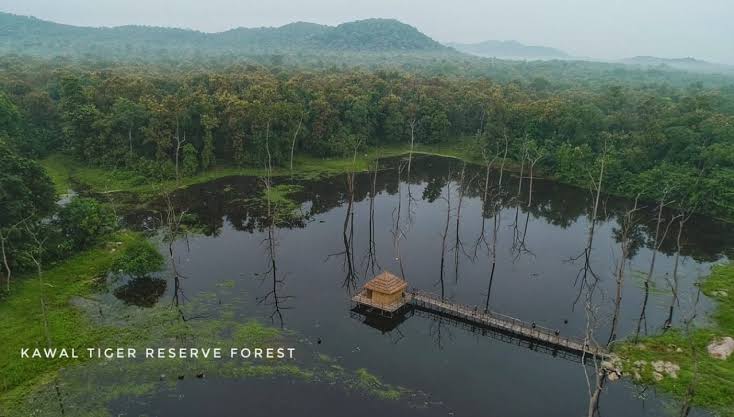 Teak forests of Kawal Reserve, AI generated