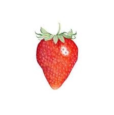 14 Inspirant De Dessin De Fraise Images Coloriage