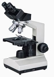 Gambar Mikroskop Binokuler Dan Mikroskop Gambar Objek