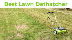 However, it can become tiring. 9 Best Lawn Dethatcher In 2021 Reviews Buying Guide