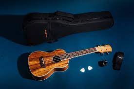 The Best Ukulele For Beginners Reviews By Wirecutter