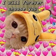 Hello Thanks For Following S Instagram Post How Y All Doin Follow Lovememesdealer For More Moo Cute Memes Cute Cat Memes Cute Love Memes
