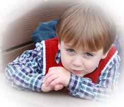 Pettit's Shimmer Photography