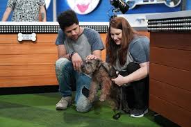 The official twitter for pooch perfect. Pwm2oykdwvb5pm