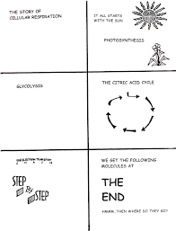 Science Tutor Cellular Respiration Graphic Organizer Storyboarding Cellular Respiration Science Tutor Teaching Biology