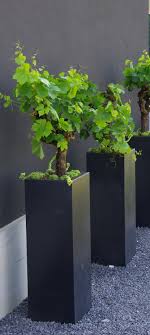 Algo Asi Pero Yo Le Pondria Una Textura De Rayas Horizontales En Concreto Garten Landschaftsbau Garten Vorgarten