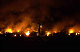 The devastating impact on Northumberland of the foot and mouth crisis of  2001 | Hexham Courant