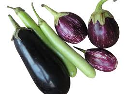 Are you searching for eggplant emoji png images or vector? Eggplant Png And Eggplants Clipart Images Free Download Free Transparent Png Logos