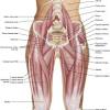 Lower gently, leaning only as far as you can without overextending your hips. 1