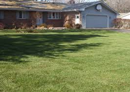 Morkare lawn, brooklyn park, minnesota. Lawn Care Services Northern Roots Lawn Care