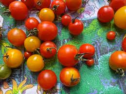 We did not find results for: Tomatoes And Fried Mint Vegan Hungry And Frozen