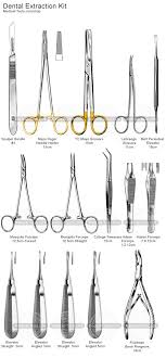 More Dental Tools Vet Medicine Dental Extraction Vet Technician