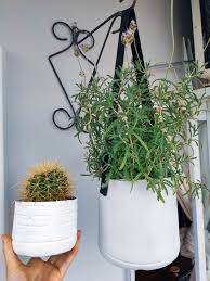 塑膠瓶大改造 如何用回收材料一次diy兩種創意花盆 homify macetas con material reciclado macetas colgantes macetas