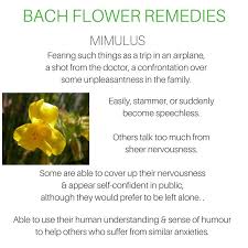 Pin By Laille Stephanie On Bach Flower Remedies Bach Flower Remedies Flower Remedy Bach Remedy