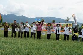Последние твиты от bkd prov. Syahrul Yasin Limpo Panen Bawang Merah Di Bima Penuhi Pasokan Dalam Negeri Lelemuku Lelemuku Com Kebanggaan Anak Negeri Portal Berita Yang Informatif Dan Objektif