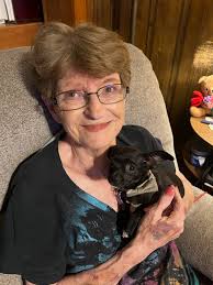 dog wanting treats all day