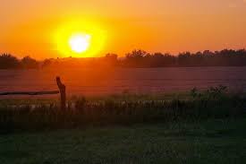 Matahari terbit atau arunika adalah peristiwa di mana sisi teratas matahari muncul di atas horizon di sebelah timur. Matahari Terbenam Di Sebelah Barat Foto Gratis Di Pixabay