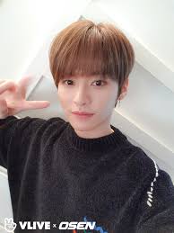 Lee min ho is a south korean actor, singer, and model currently represented by mym entertainment. Minho Stray Kids Wallpaper 43237303 Fanpop Page 15