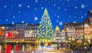Yes, now i want to go out and buy established palm trees and twinkle lights. Holiday Travel Tip Don T Put Christmas Lights On Palm Trees God Save The Points