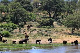 Eswatini regions eswatini experiences events calendar. Swaziland Archives Travel With Foldbjerg