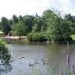 Walk and Talk – Golden Acre Park