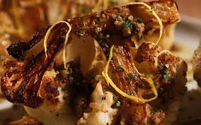 Image result for Dinebra caudata