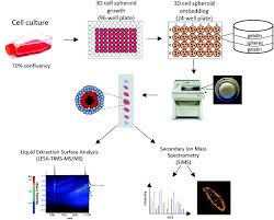 The worldwide chemical detection equipment handbook was published in october 1995, and serves as a compendium of information pertaining to chemical it includes u.s. Mapping Chemotherapeutic Drug Distribution In Cancer Cell Spheroids Using 2d Tof Sims And Lesa Tims Ms Analyst Rsc Publishing