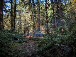 Crater lake is the deepest lake in the united states! 14 Spots For Free Camping In Oregon And How To Find More