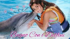 I delfini sono animali straordinari, mammiferi intelligenti amati da tutti, ma fare tale esperienza (in sicurezza e nel rispetto delle regole) non è facile. Zoomarine In Acqua Con I Delfini Youtube