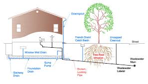 Start studying general plumbing codes. Homeowner Responsibility Halifax Water