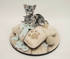 Check out our cat birthday cake selection for the very best in unique or custom, handmade pieces from our pet food & treats shops. 25 Cat Cakes Tutorials Ideas In 2021 Cat Cake Cake Tutorial Kitten Cake